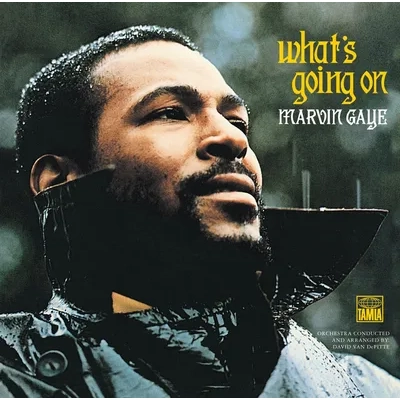 What's Going On | Marvin Gaye