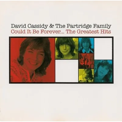 Could It Be Forever... The Greatest Hits | David Cassidy