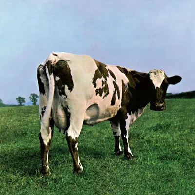 Atom Heart Mother | Pink Floyd