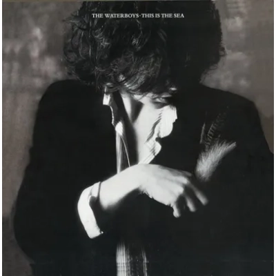 This Is the Sea | The Waterboys