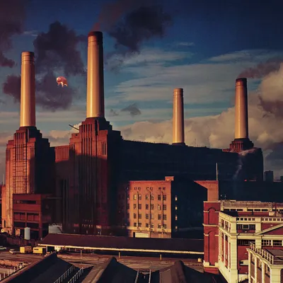 Animals | Pink Floyd