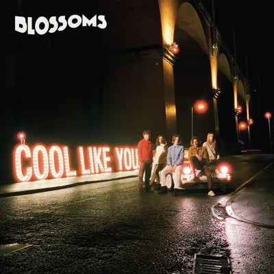 Cool Like You | Blossoms