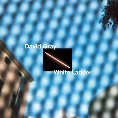 White Ladder | David Gray