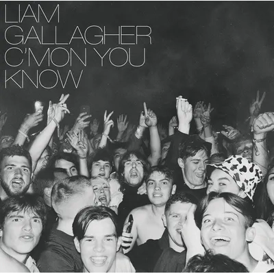 C'mon You Know | Liam Gallagher