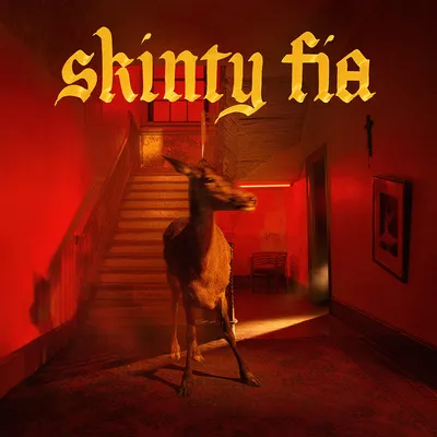 Skinty Fia | Fontaines D.C.