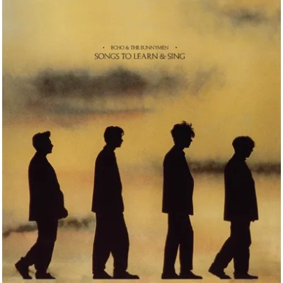 Songs to Learn & Sing | Echo & the Bunnymen