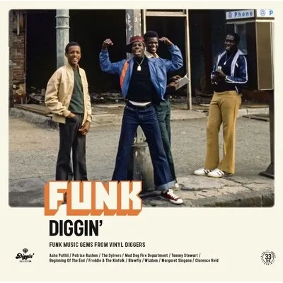 Funk Diggin': Funk Music Gems from Vinyl Diggers | Various Artists