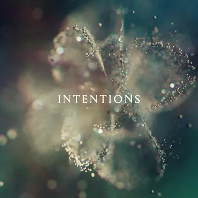 Intentions | ANNA