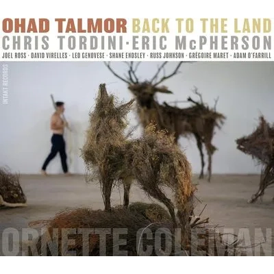 Back to the Land | Ohad Talmor
