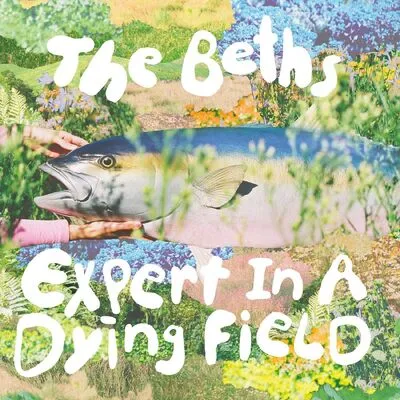 Expert in a Dying Field | The Beths