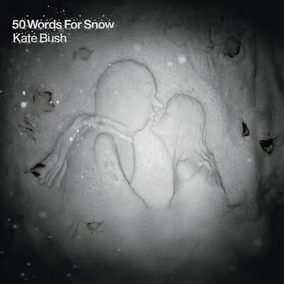 50 Words for Snow | Kate Bush