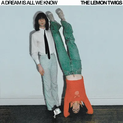 A Dream Is All We Know | The Lemon Twigs