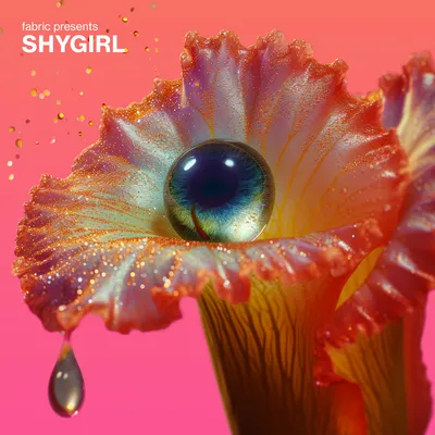 Fabric Presents Shygirl | Various Artists