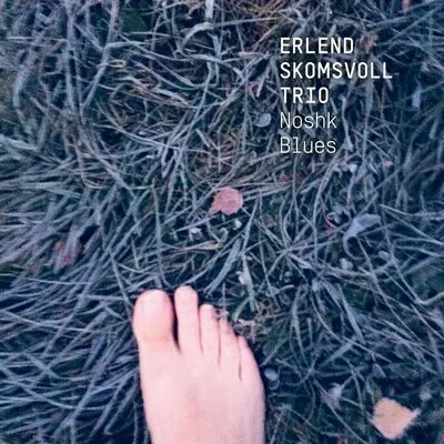 Noshk blues | Erlend Skomsvoll Trio