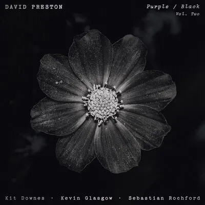 Volume 2 - purple/black | David Preston