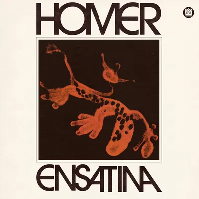 Ensatina | Homer