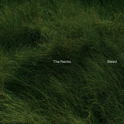 Bleed | The Necks