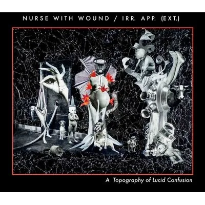 A Topography of Lucid Confusion | Nurse With Wound/irr. app. (ext.)