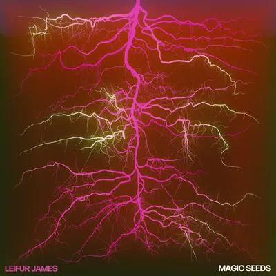 Magic Seeds | Leifur James