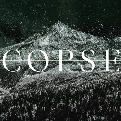 MMXXIV | Copse