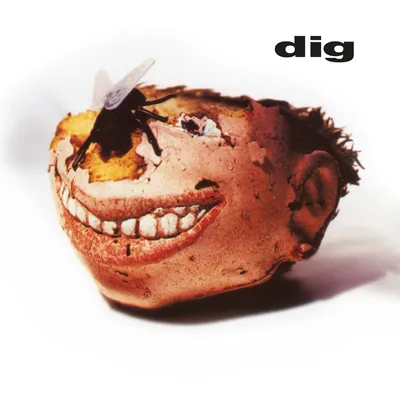 Dig | Dig