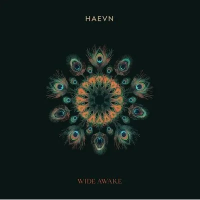 Wide Awake | Haevn