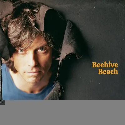 Beehive Beach | Euros Childs