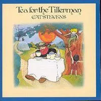 Tea for the Tillerman | Cat Stevens