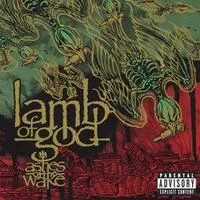 Ashes of the Wake | Lamb of God