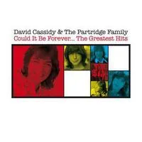 Could It Be Forever... The Greatest Hits | David Cassidy