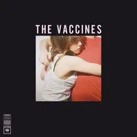 What Did You Expect from the Vaccines? | The Vaccines