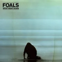 What Went Down | Foals