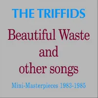 Beautiful Waste and Other Songs: Mini-masterpieces 1983-1985 | The Triffids