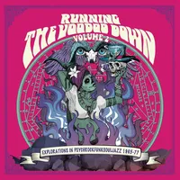 Running the Voodoo Down - Volume 2 | Various Artists