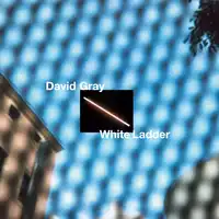 White Ladder | David Gray