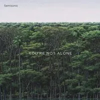 You're Not Alone | Semisonic