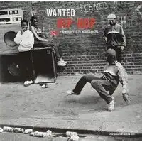 Wanted: Hip-hop: From Diggers to Music Lovers | Various Artists