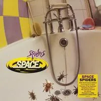 Spiders | Space