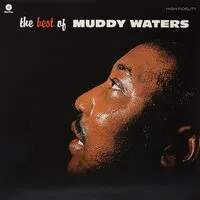 The Best of Muddy Waters | Muddy Waters