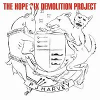 The Hope Six Demolition Project | PJ Harvey