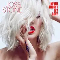 Never Forget My Love | Joss Stone