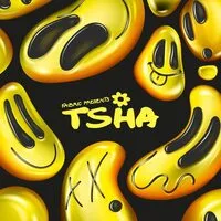 Fabric Presents TSHA | Various Artists
