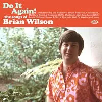Do It Again! The Songs of Brian Wilson | Various Artists