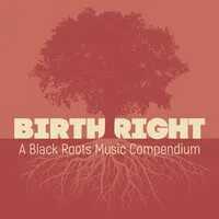 Birthright: A Black Roots Music Compendium | Various Artists