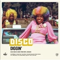Disco Diggin': Disco Music Gems from Vinyl Diggers | Various Artists