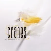 John Peel Sessions (1989-1990) | Cranes