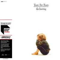 The Hurting (Half Speed Master) | Tears for Fears