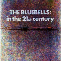 In the 21st Century | The Bluebells