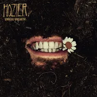 Unreal Unearth | Hozier