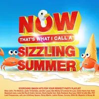 NOW That's What I Call a Sizzling Summer | Various Artists